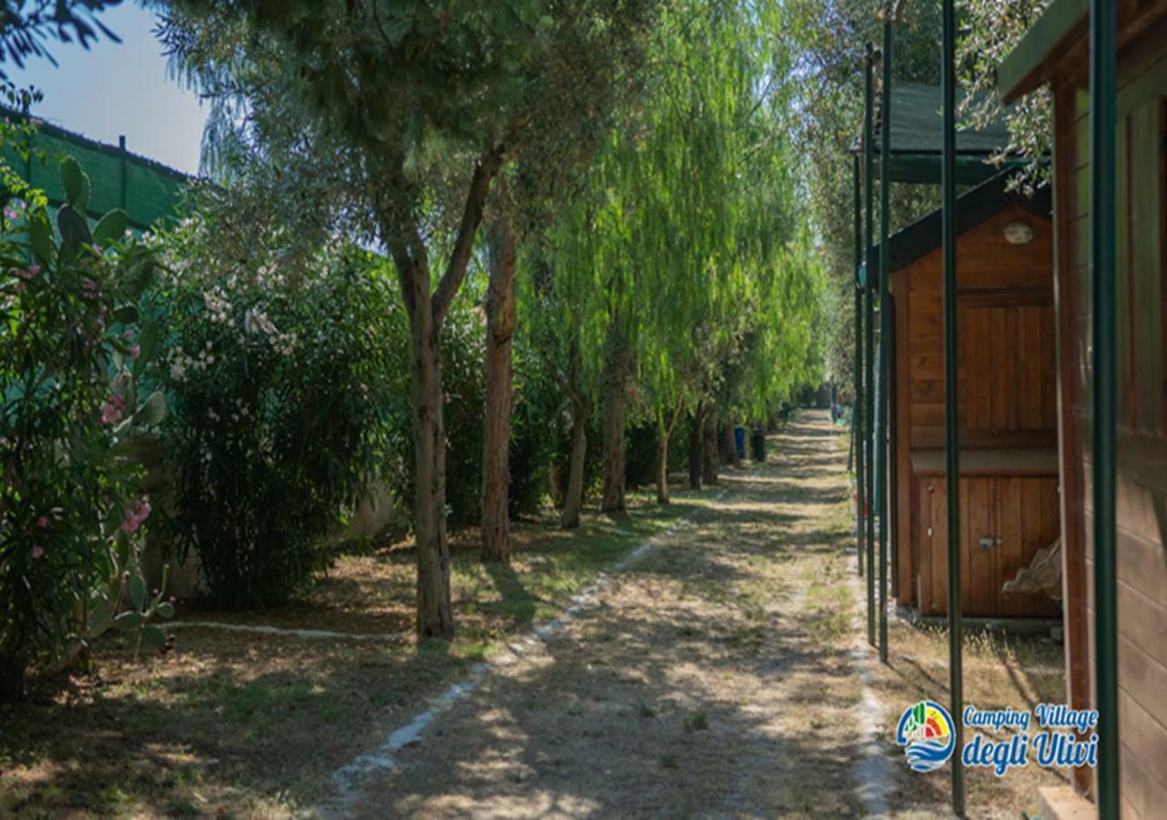 Camping Village Degli Ulivi 마티나타 외부 사진